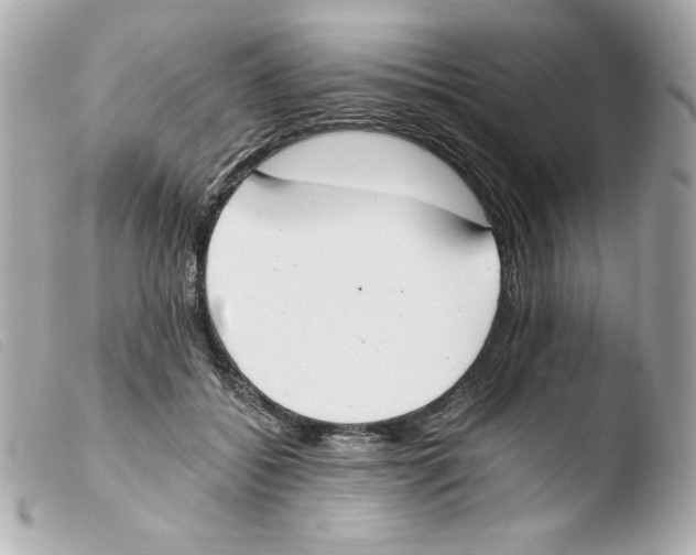 X0000103500556200810101048