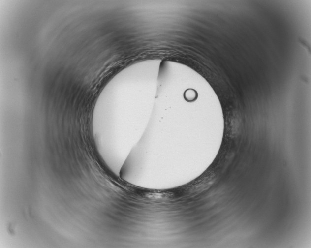 X0000103500558200810101048