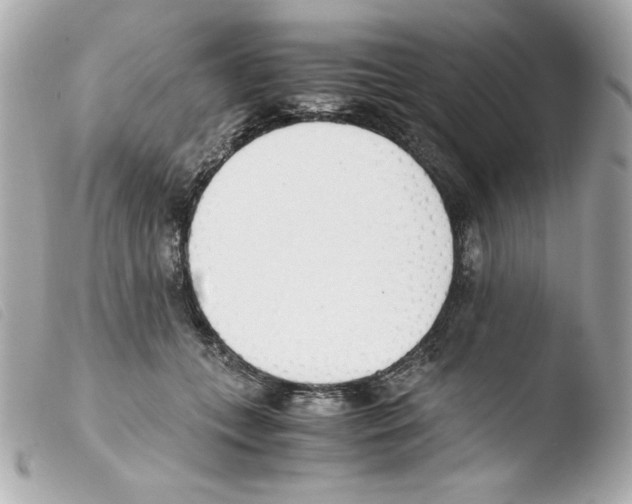 X0000103500559200810101048