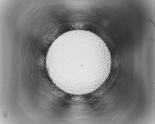 X0000103500561200810101048