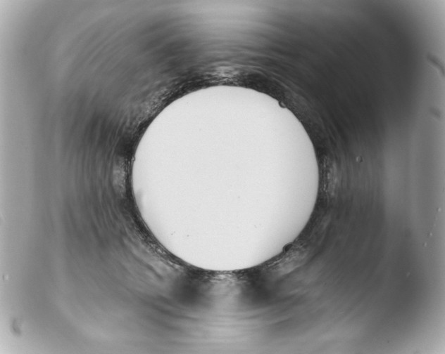 X0000103500562200810101048