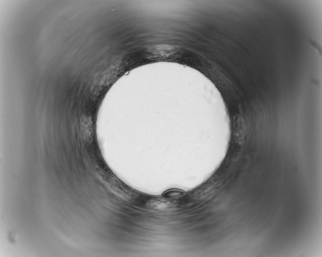 X0000103500563200810101048