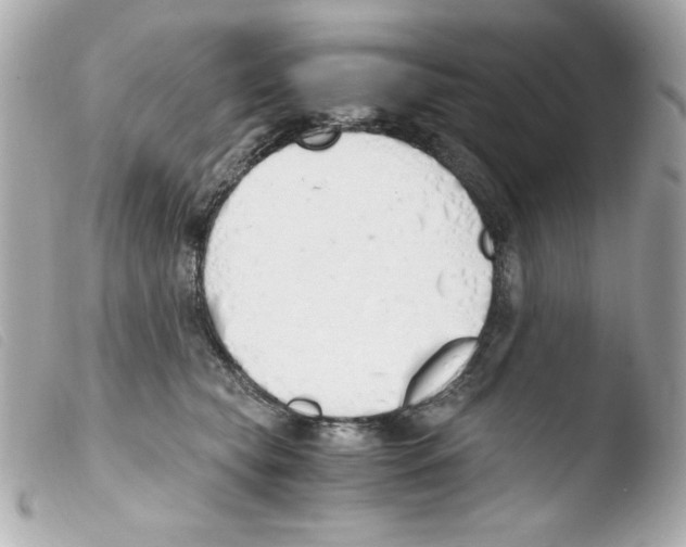 X0000103500565200810101049