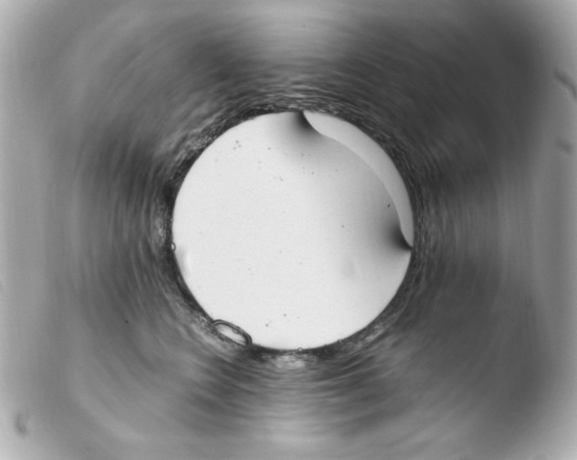 X0000103500566200810101049