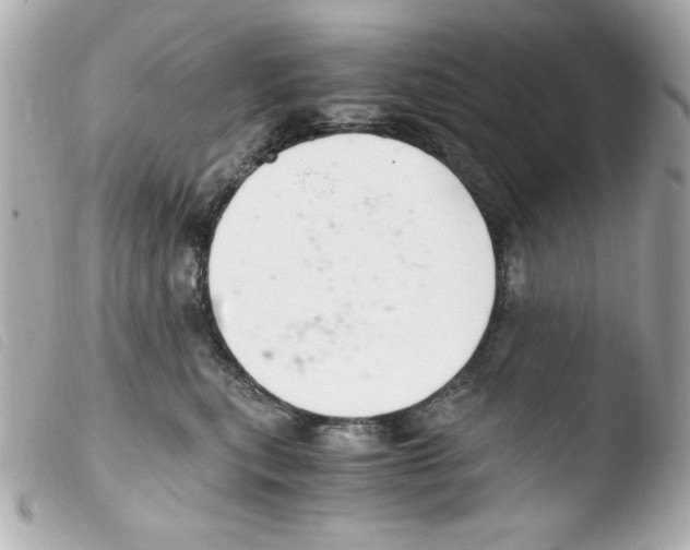 X0000103500567200810101049