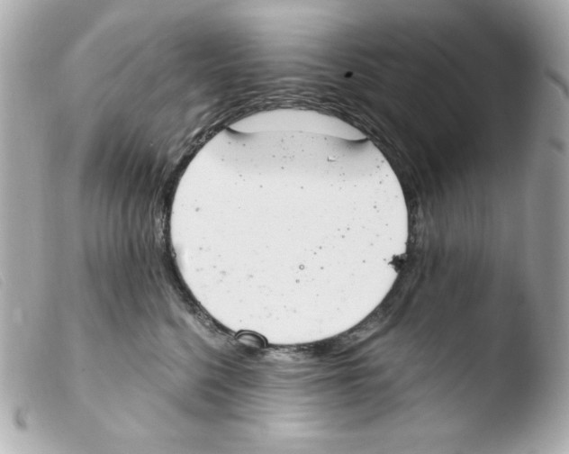 X0000103500568200810101049