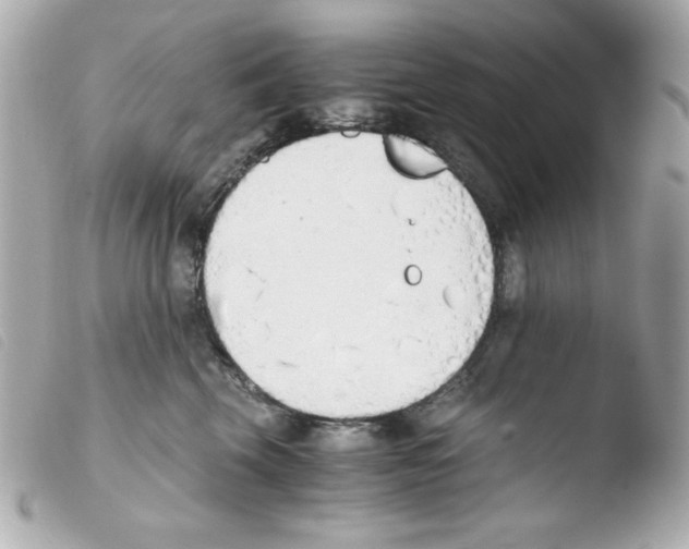 X0000103500569200810101049