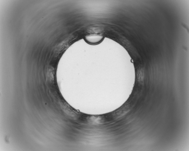 X0000103500570200810101049