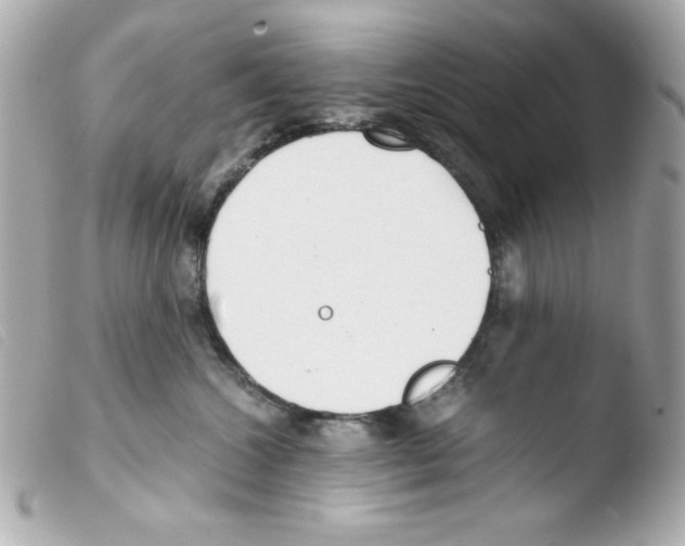 X0000103500572200810101049