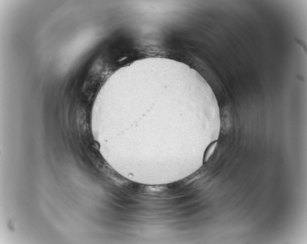 X0000103500573200810101049