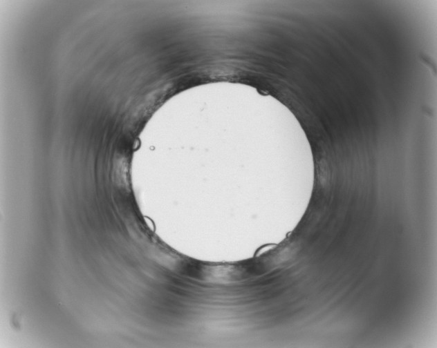 X0000103500575200810101049