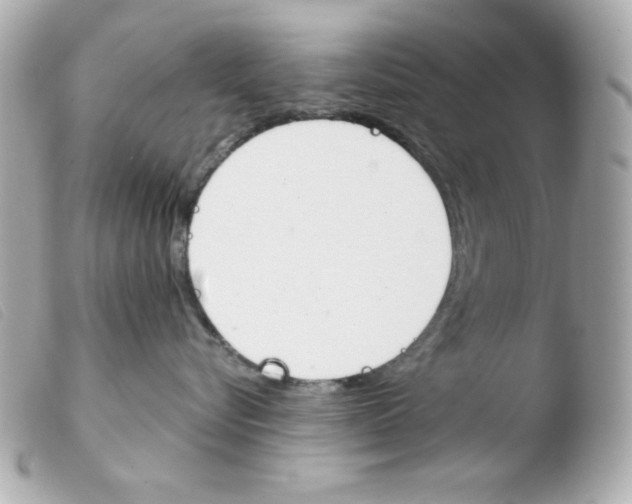 X0000103500576200810101049