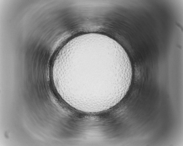 X0000103500582200810101048