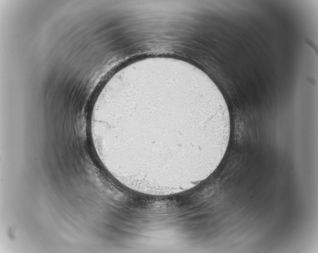 X0000103500584200810101048