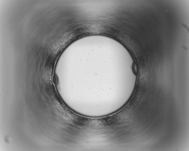 X0000103500585200810101048