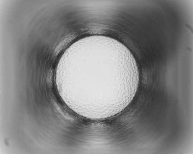 X0000103500586200810101048