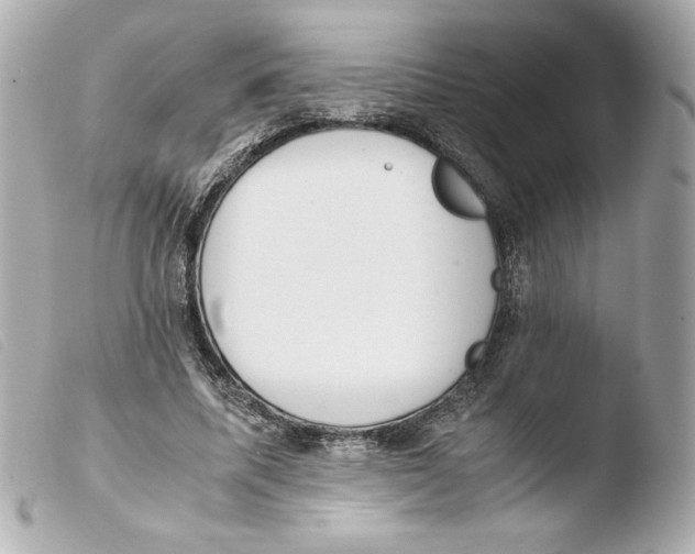 X0000103500587200810101048