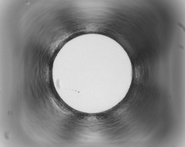 X0000103500588200810101048