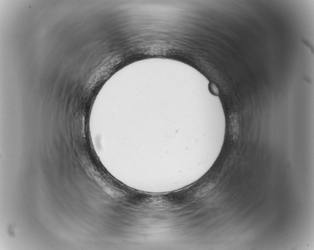 X0000103500589200810101048