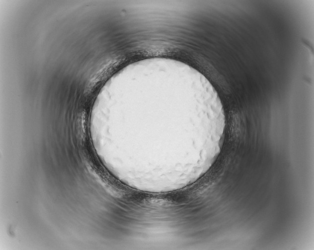 X0000103500590200810101048