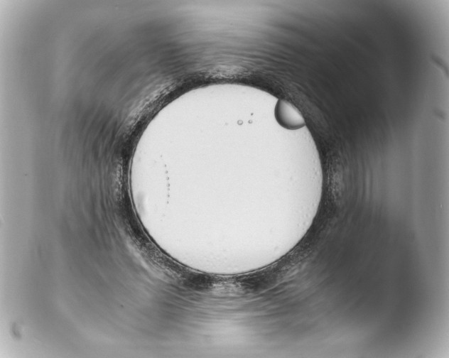 X0000103500591200810101048