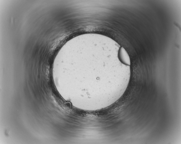 X0000103500592200810101048