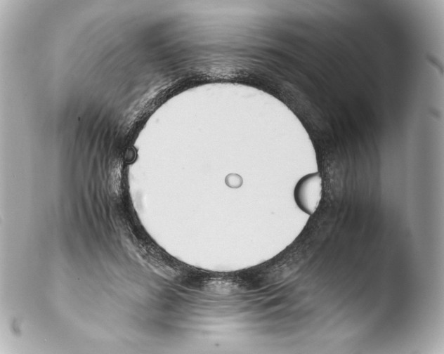 X0000103500596200810101048