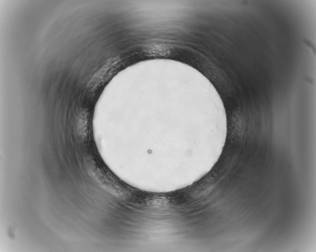 X0000103500600200810101048