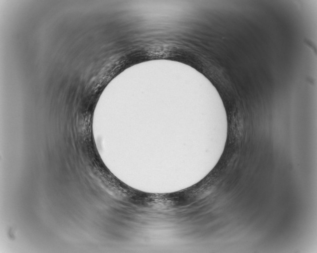 X0000103500601200810101048