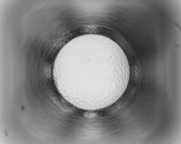 X0000103500602200810101048