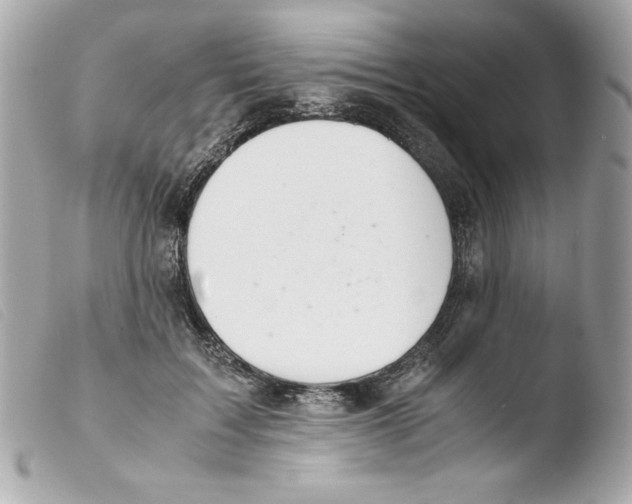 X0000103500603200810101048