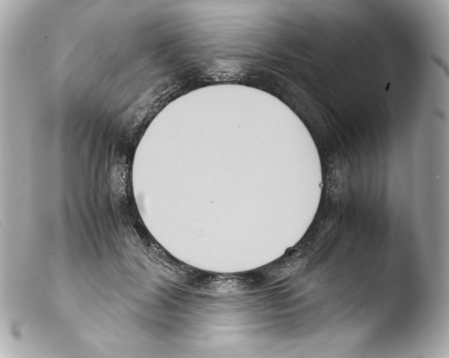 X0000103500604200810101048