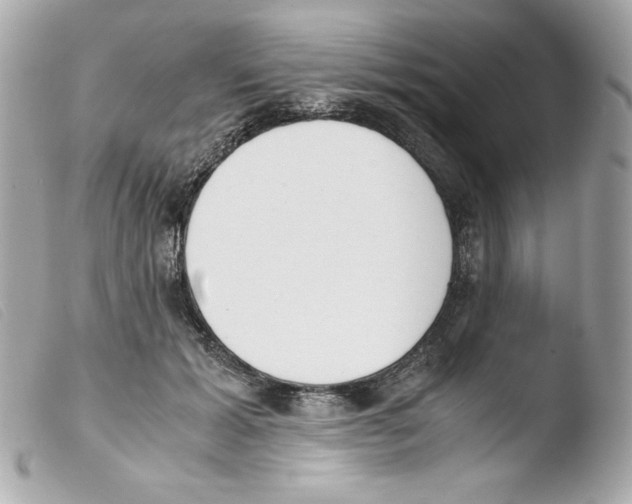 X0000103500605200810101048