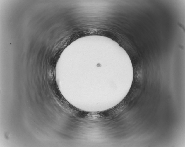 X0000103500607200810101048