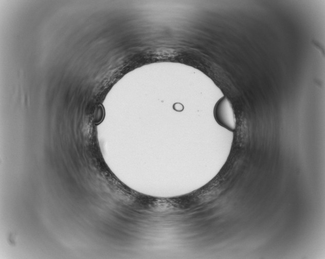 X0000103500608200810101048