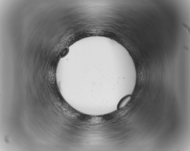 X0000103500609200810101048