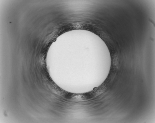 X0000103500611200810101047