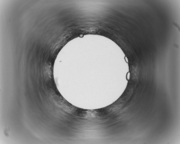 X0000103500612200810101047