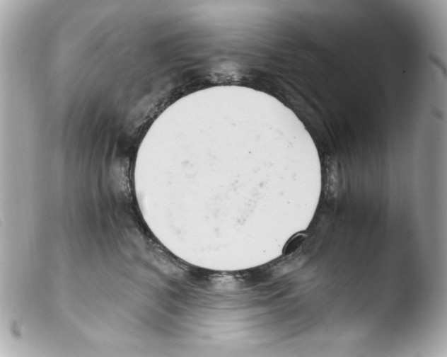 X0000103500616200810101047