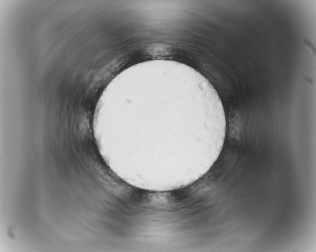 X0000103500618200810101047