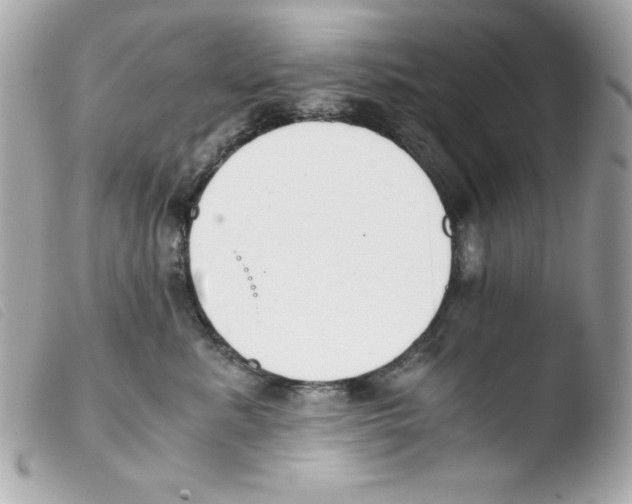 X0000103500619200810101047