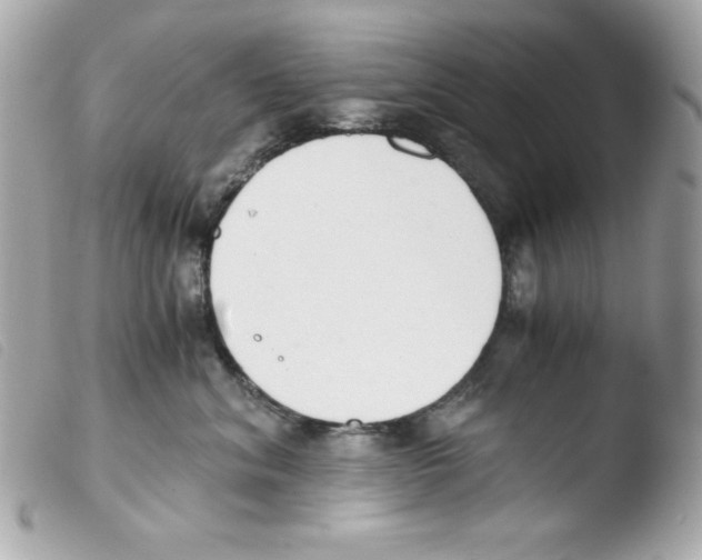 X0000103500620200810101047