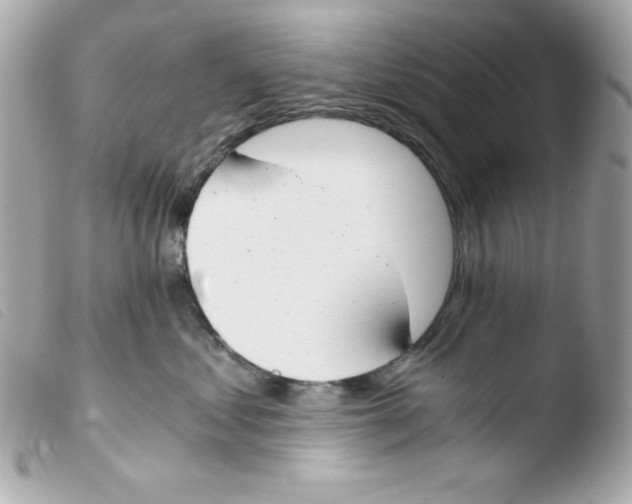 X0000103500621200810101047