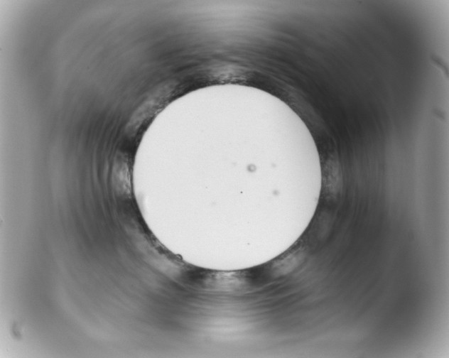 X0000103500622200810101047