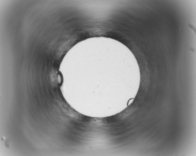 X0000103500624200810101047