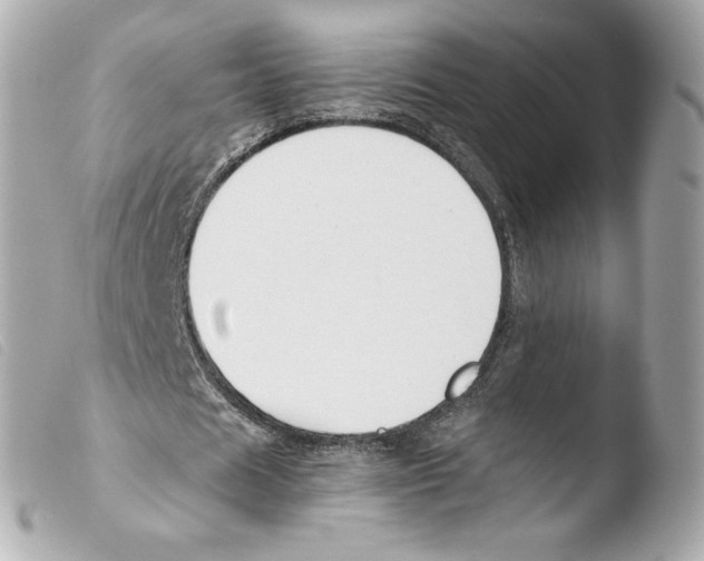 X0000103500625200810101047