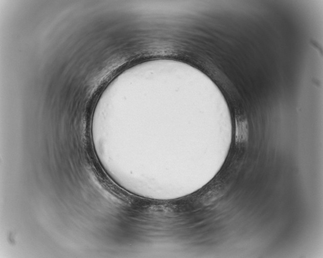 X0000103500627200810101047