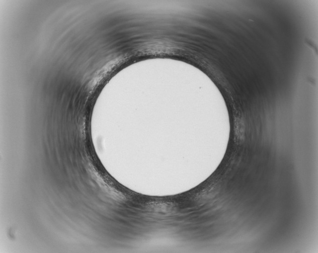 X0000103500629200810101047