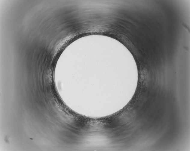 X0000103500632200810101047