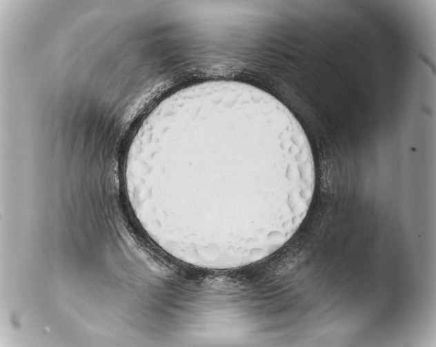 X0000103500634200810101047